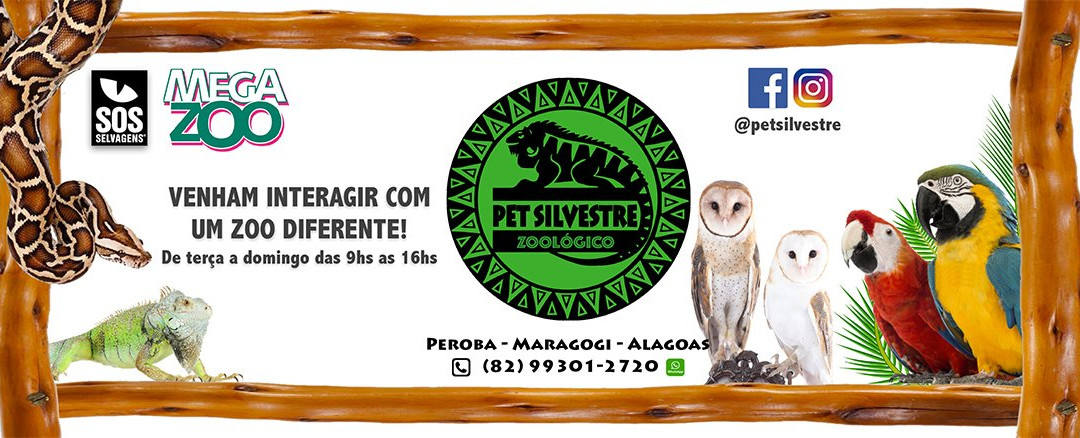 Zoologico Pet Silvestre - Maragogi-Maragogi必去景点