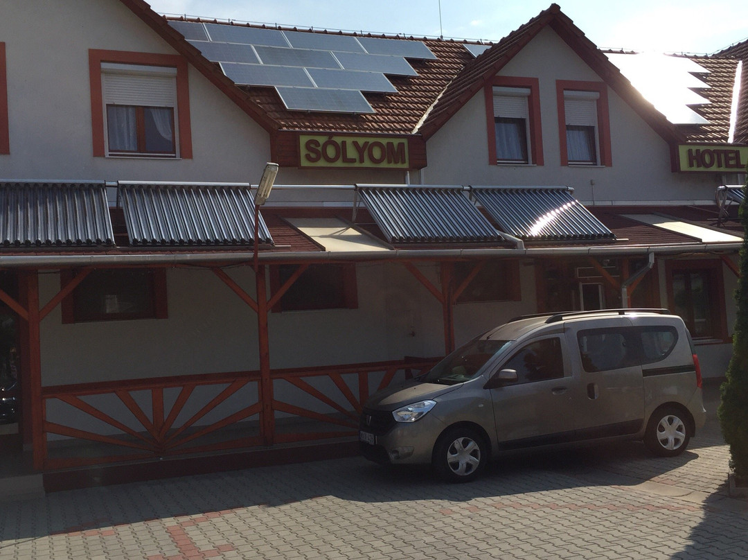 Solyom Hotel主图