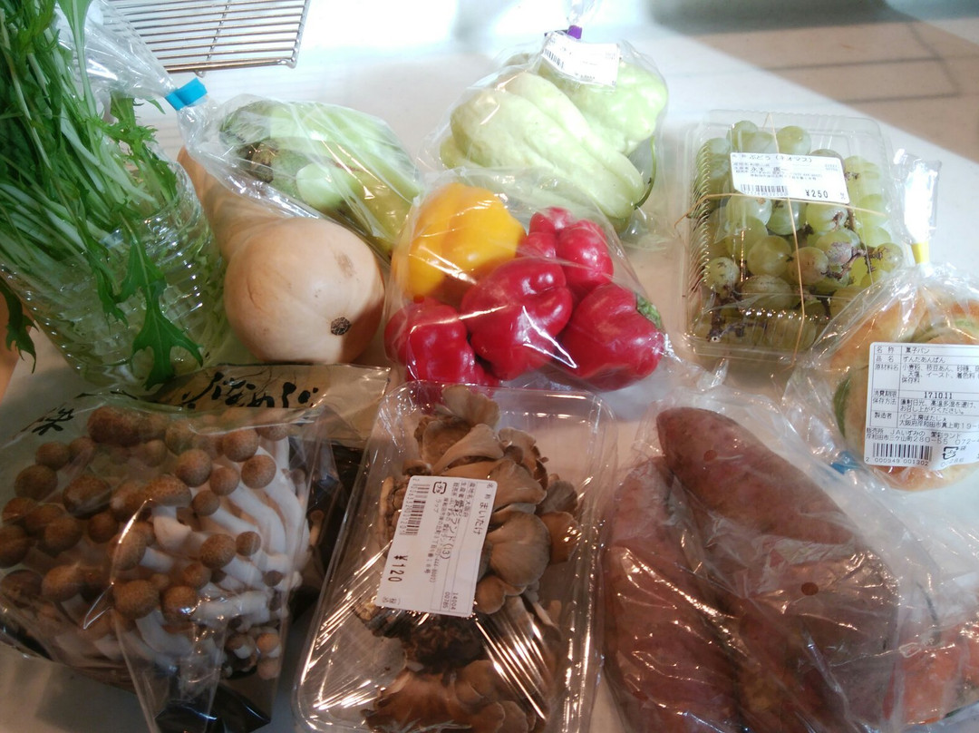 Michi no Eki Aisai Land-岸和田市必去景点