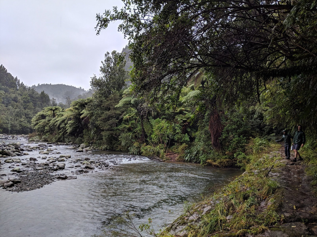 Waitawheta Tramway-陶兰加必去景点