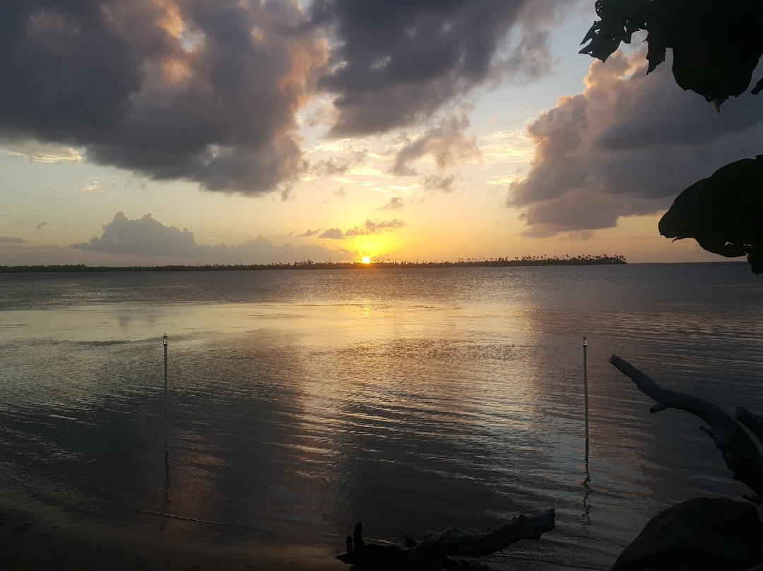 Boriken Delights-Rio Grande必去景点