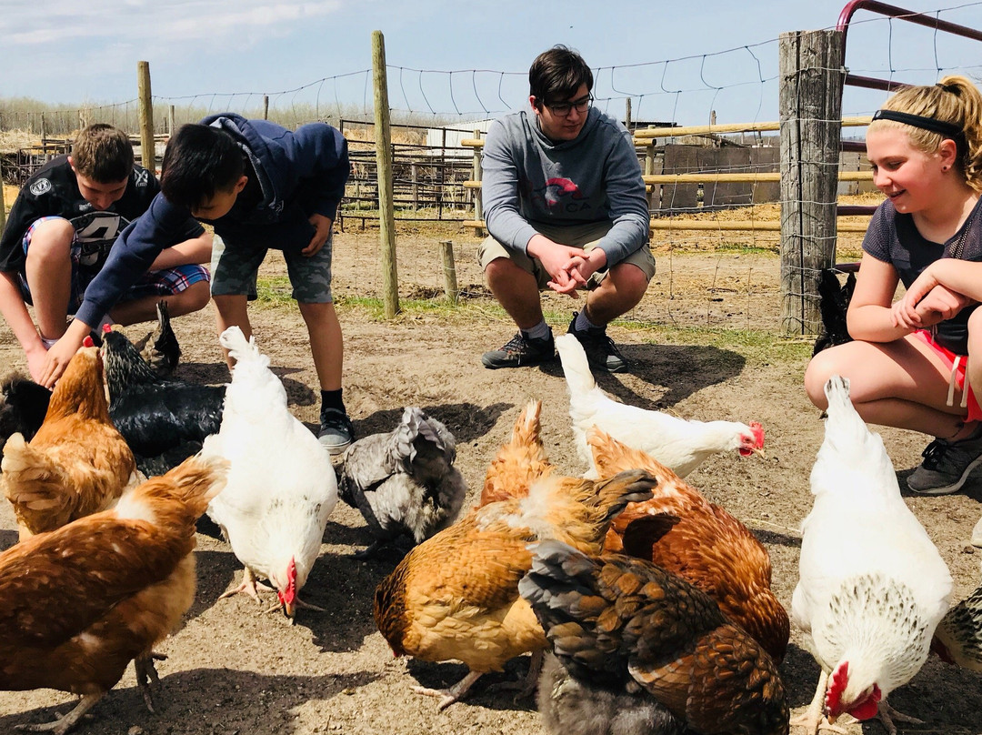 Kismet Creek Farm-Steinbach必去景点