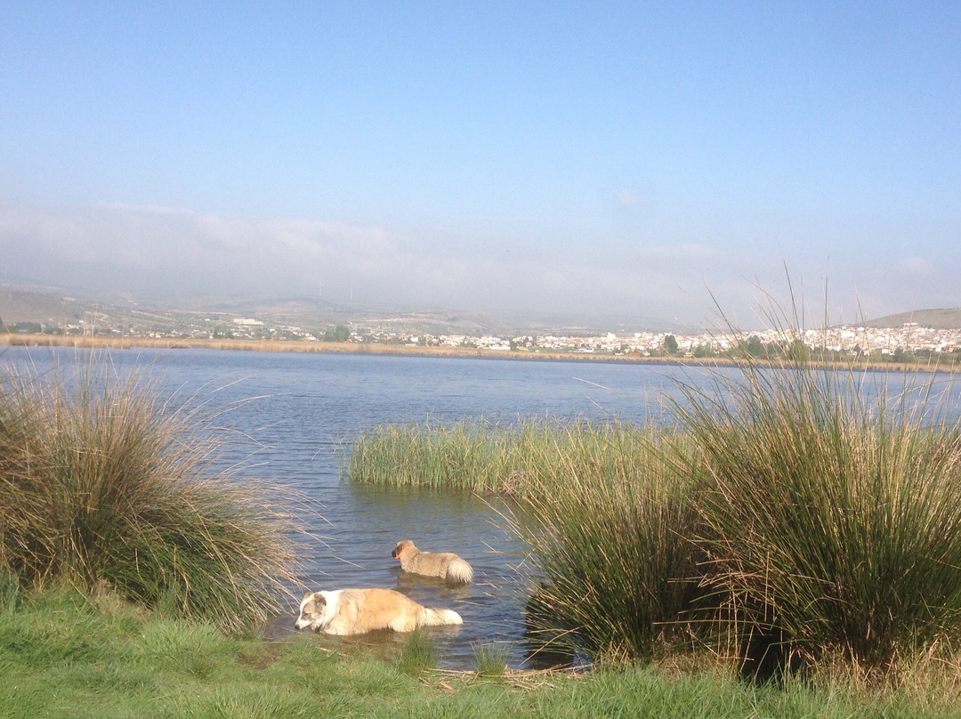 La laguna del Padul景点图片