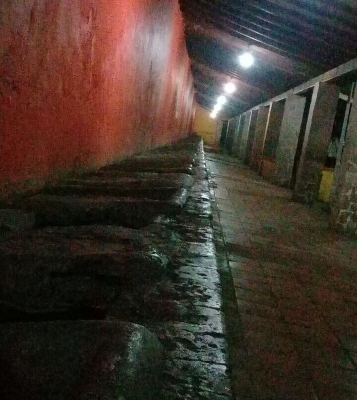 Antiguos Lavaderos-特基拉必去景点