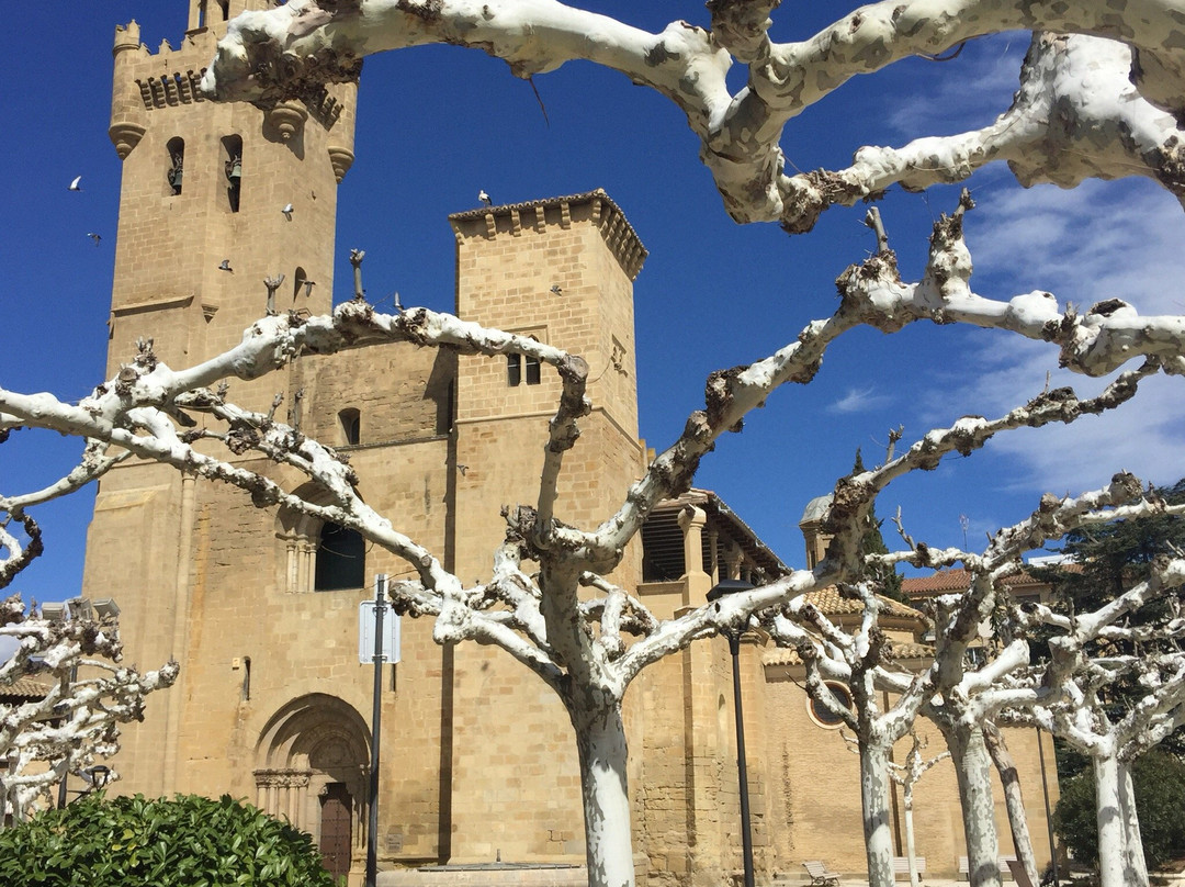 Iglesia del Salvador景点图片
