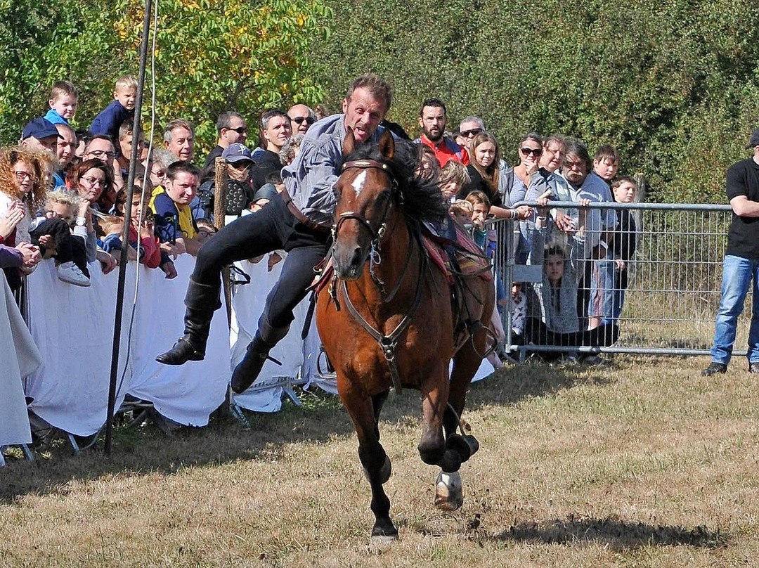Varennes-les-Narcy旅游攻略图片