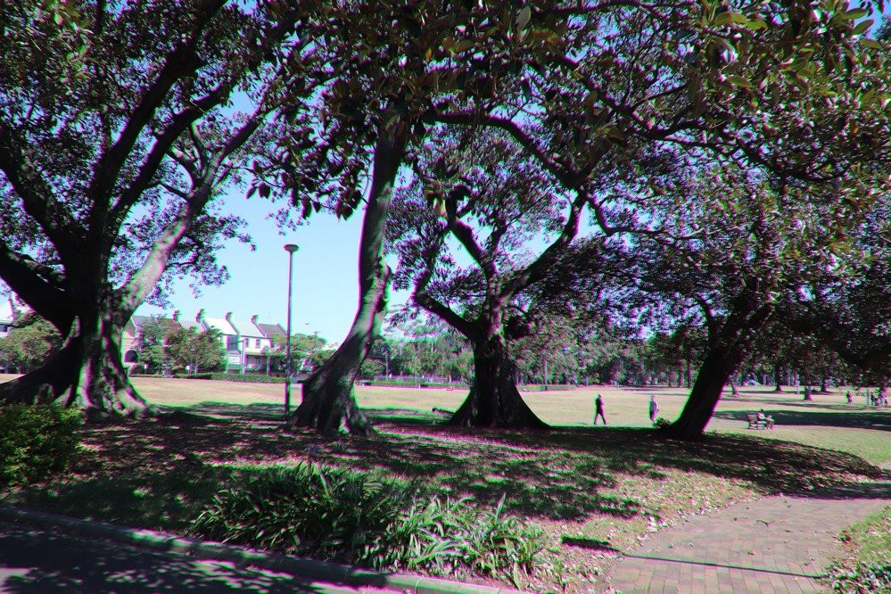 Victoria Park-悉尼必去景点