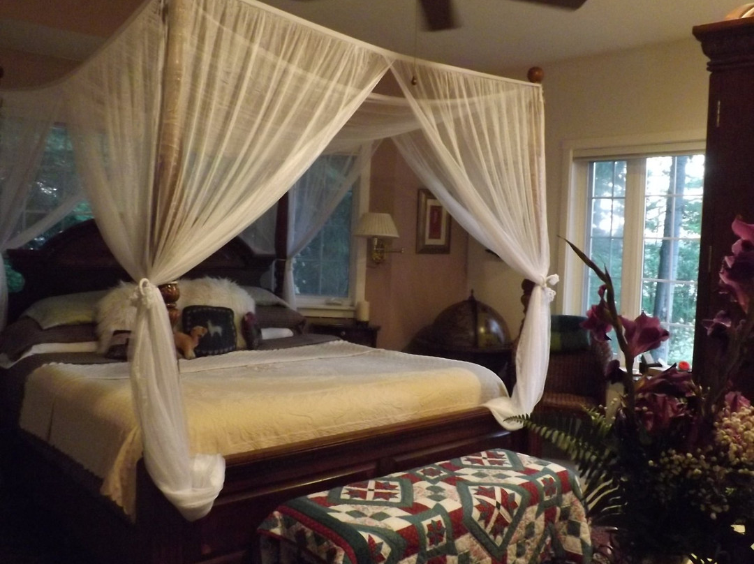 Inn to the Woods主图