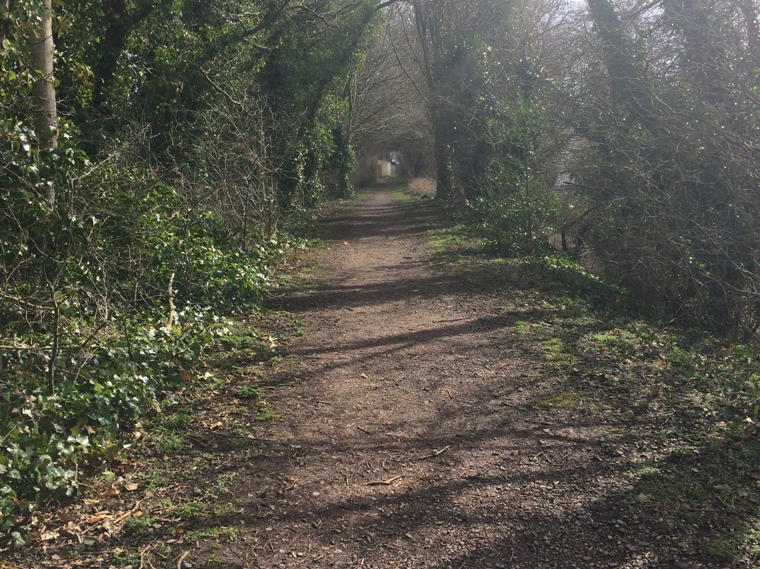 The Greenway (Old Railway Footpath)景点图片