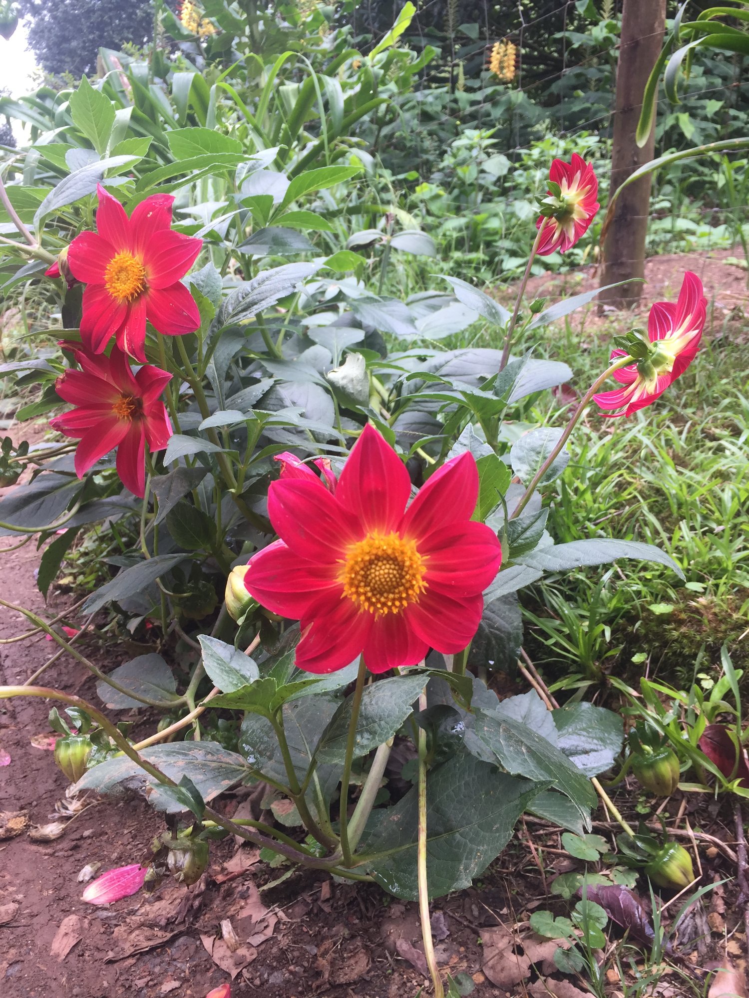 Thistledown Country House-浴室