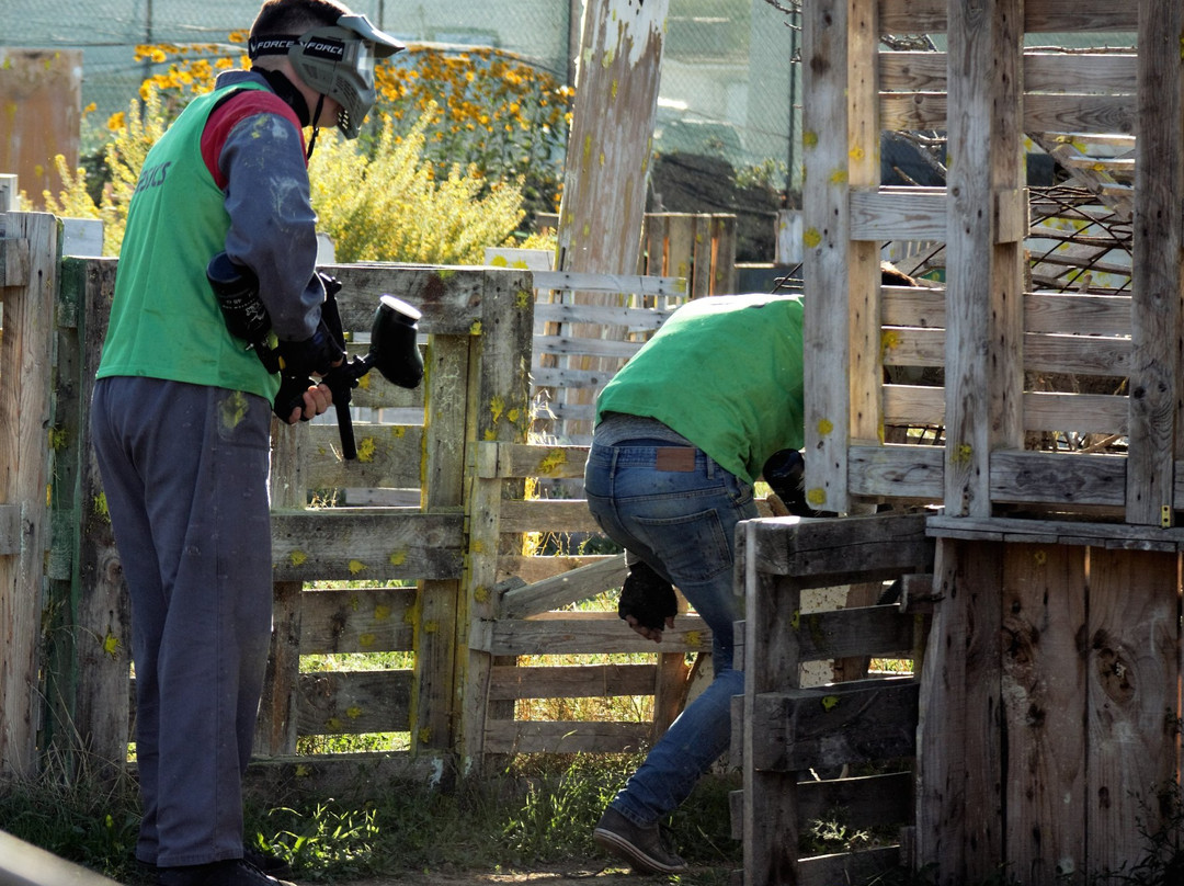 Piacenza Paintball景点图片
