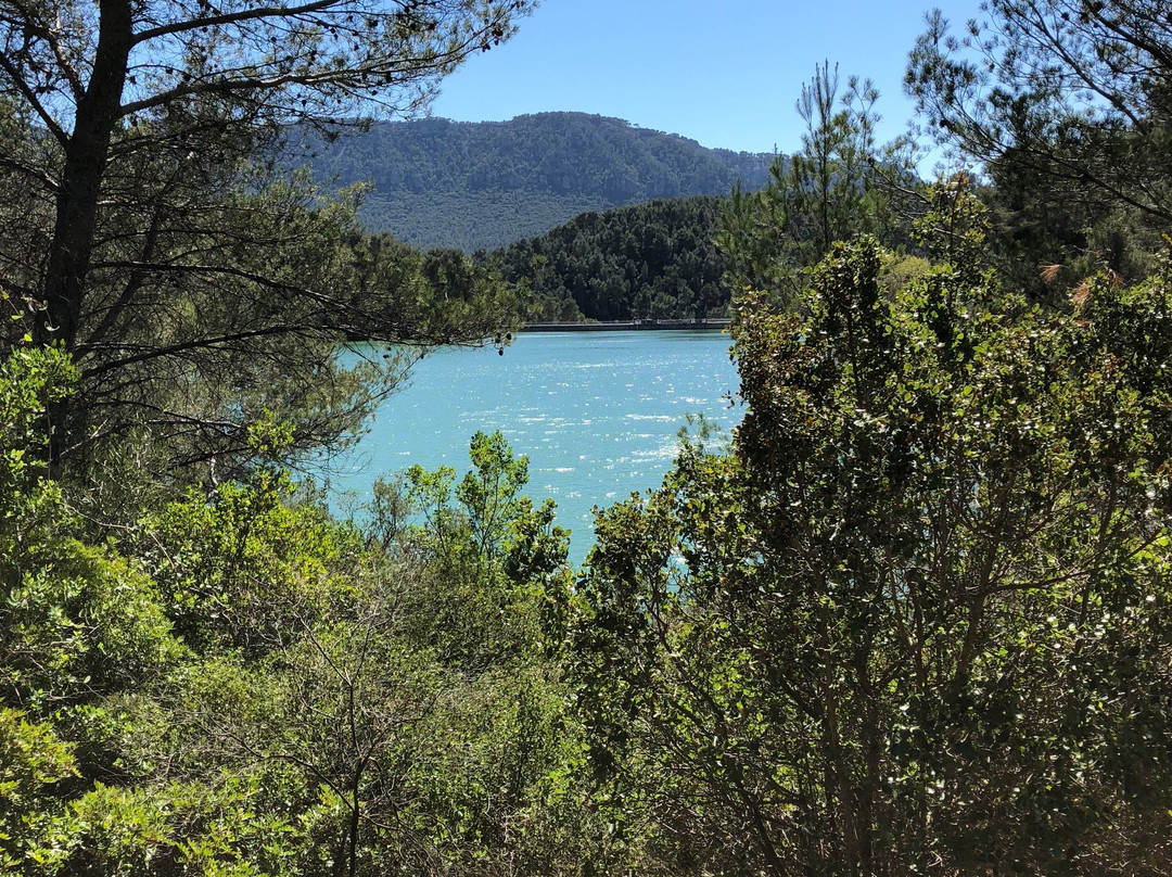 Lac du Revest景点图片