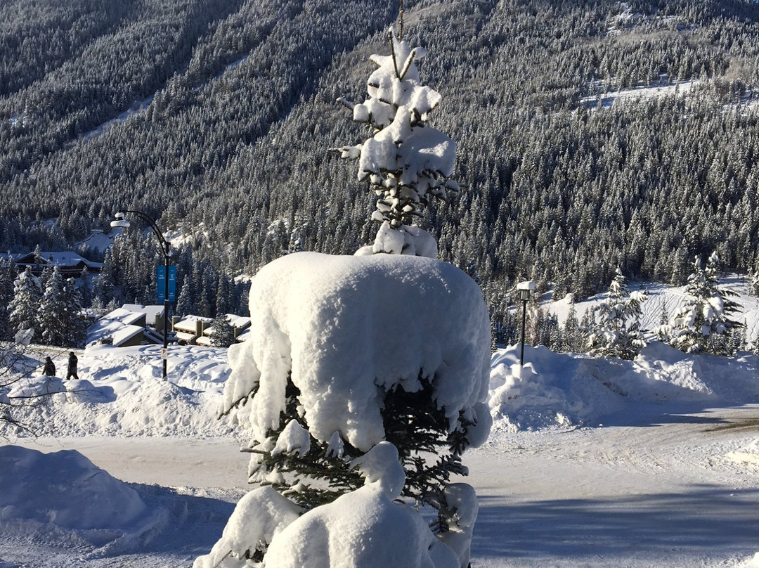 Panorama Mountain Resort主图