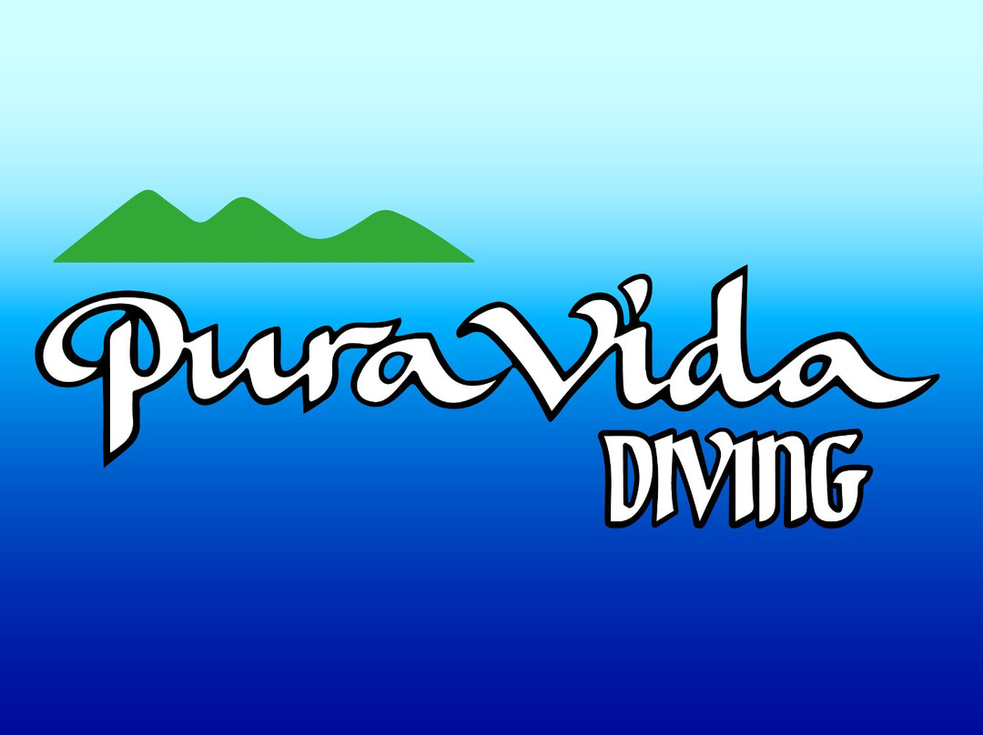 Pura Vida Diving-涛岛必去景点