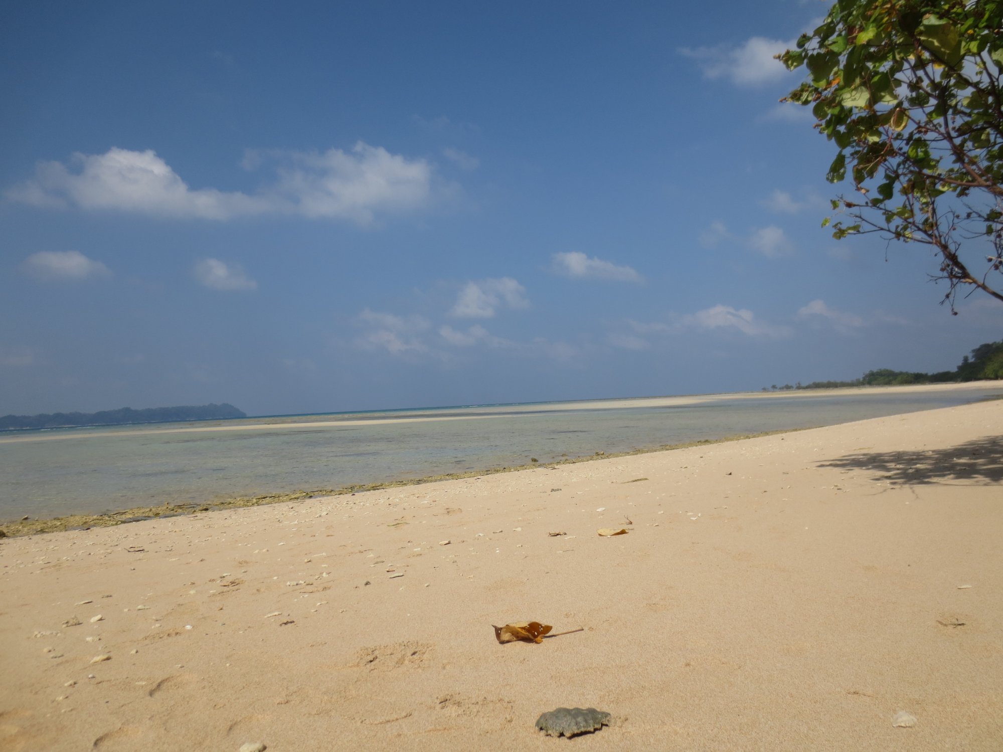 Kalapani Beach Resort-泳池