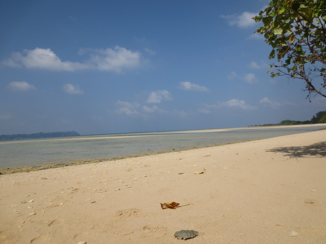 Kalapani Beach Resort主图