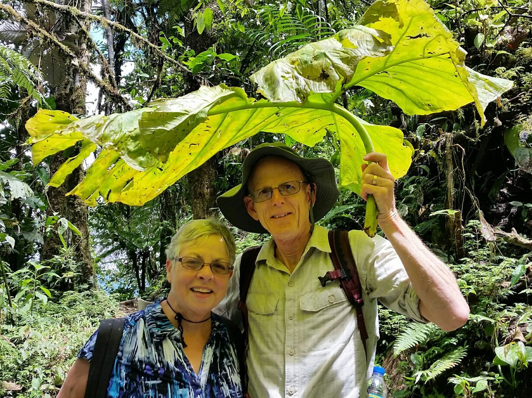 EcuaTouring-基多必去景点