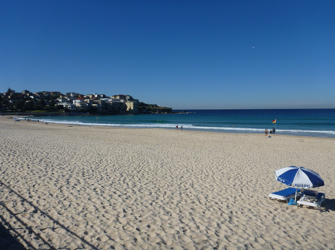 Bondi Beach Hire景点图片