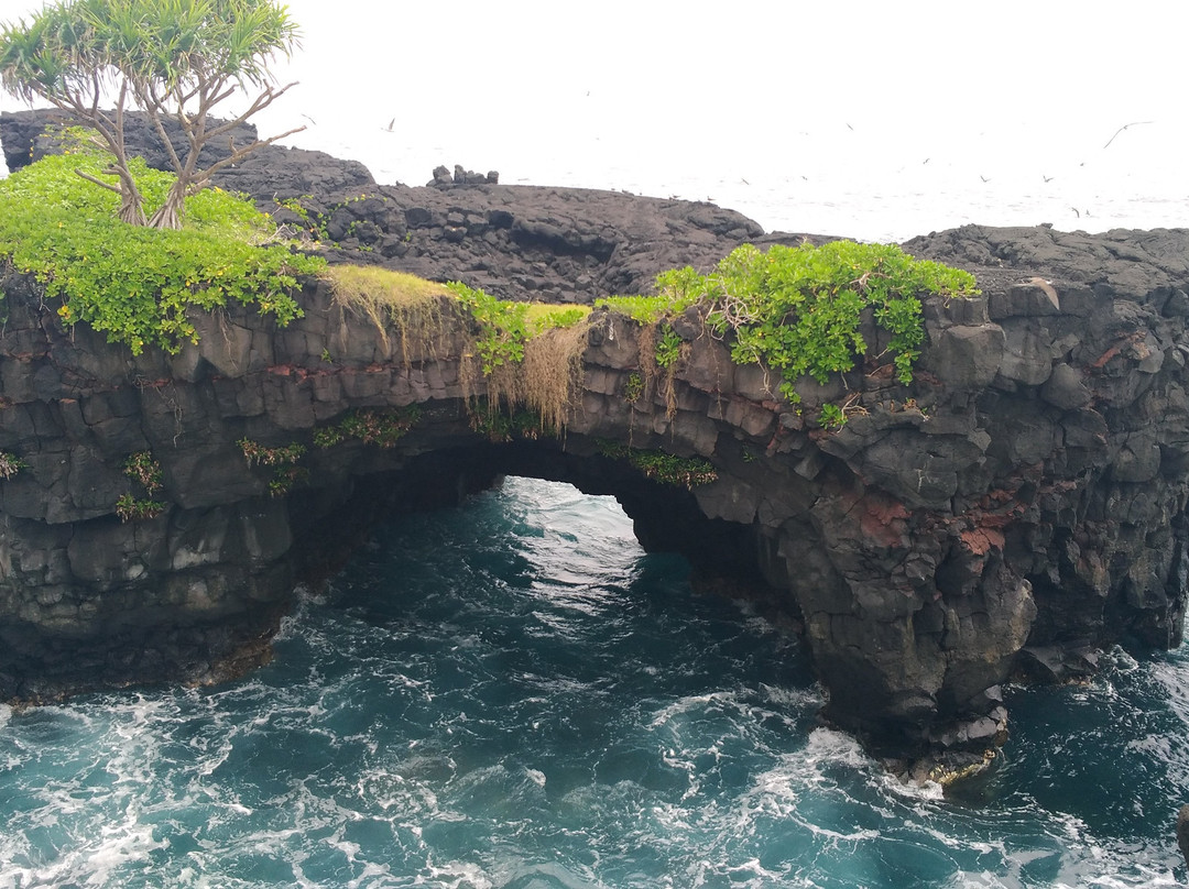Samoan Island Adventures-阿皮亚必去景点