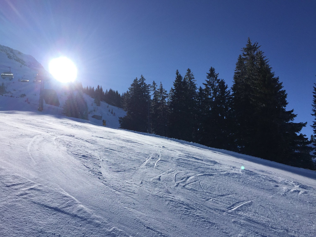 Bergbahnen Bad Hindelang Oberjoch景点图片