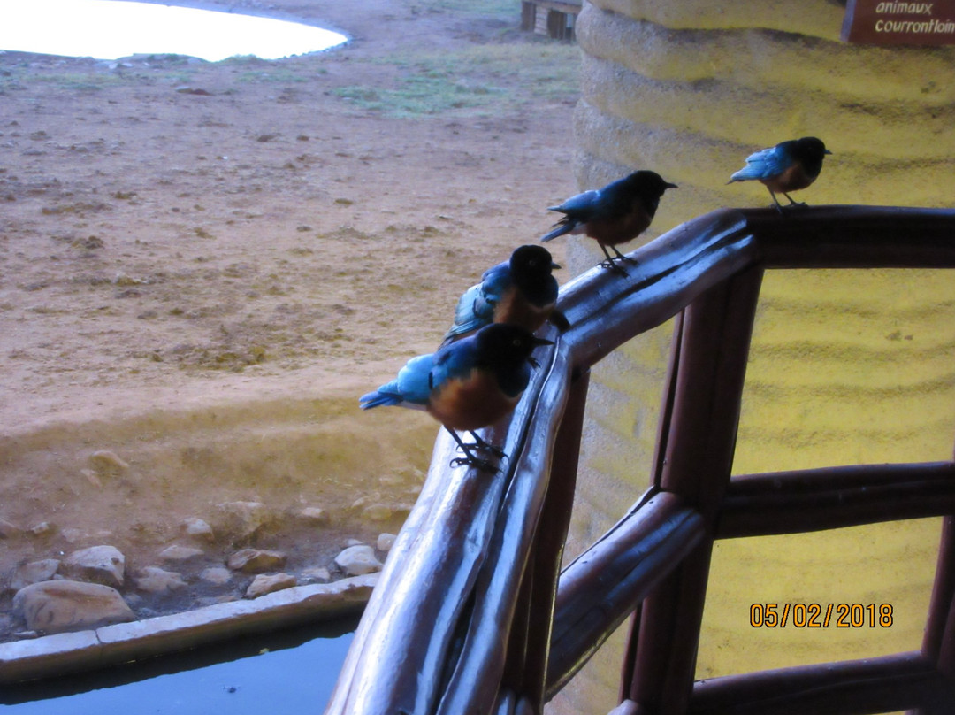 萨洛瓦台达山游乐旅馆主图