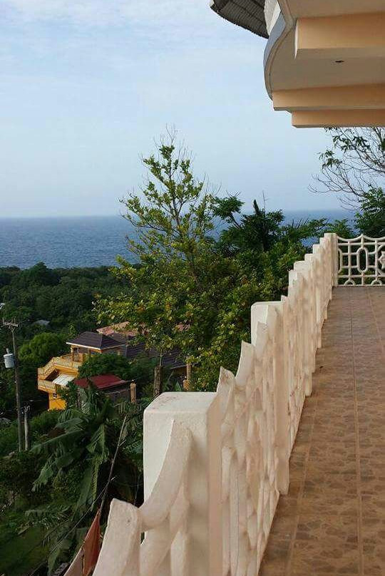 Claudia's Cove主图