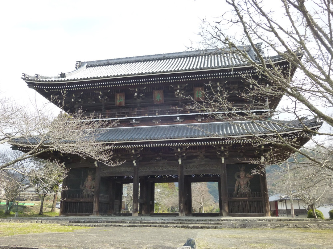 Negoro-ji Temple Daimon景点图片