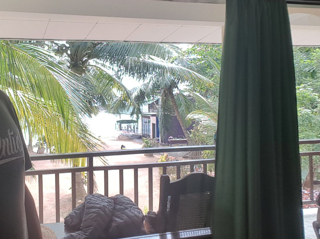 Coconut Palm Guesthouse主图