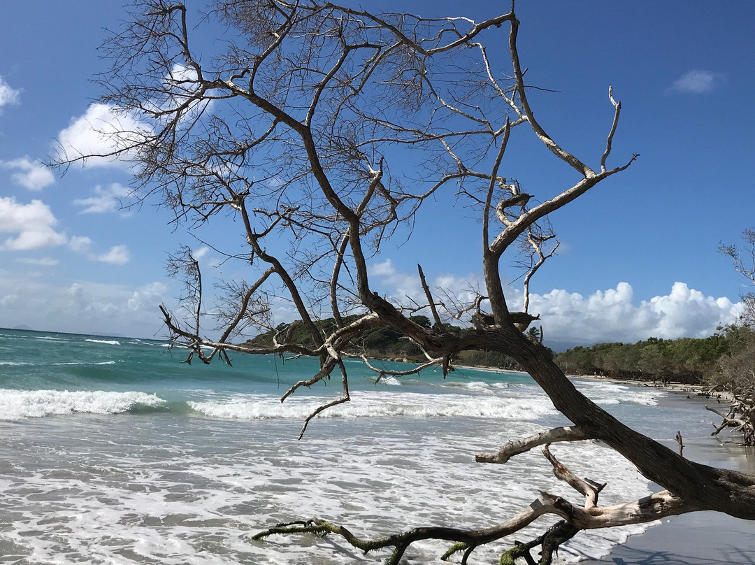 Plage de Saint-Felix-Le Gosier必去景点