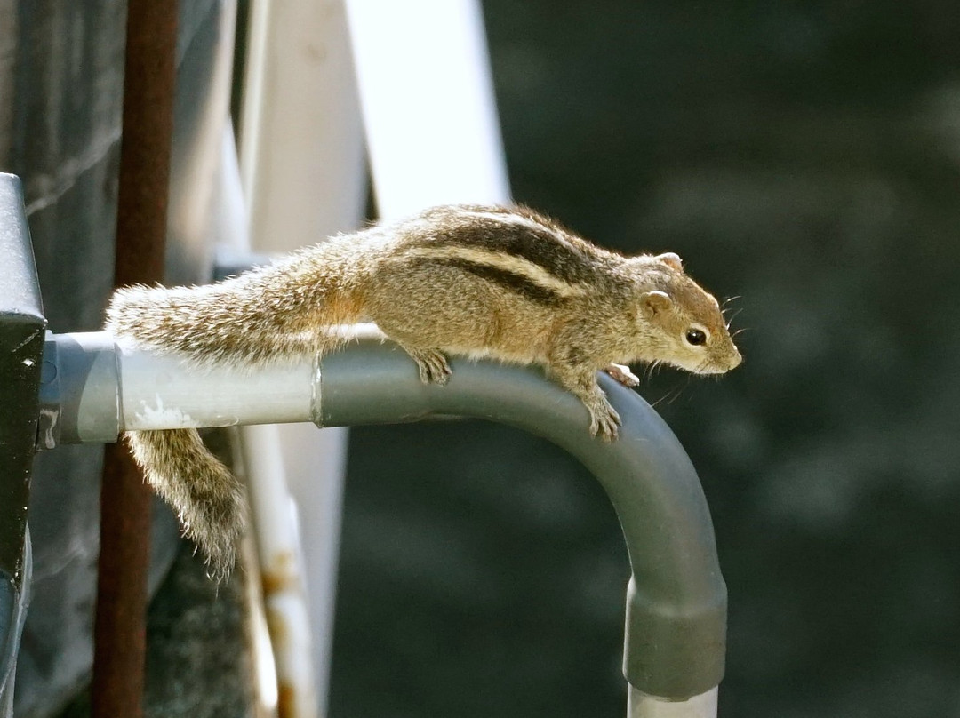 Anarva Mount Lavinia Hotel & Spa主图