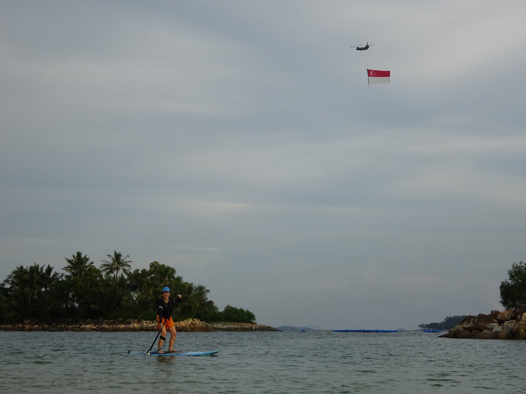 The Stand Up Paddling School景点图片