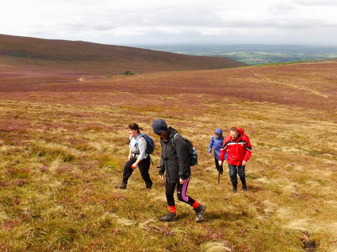 Hidden Trails Guided Tours-Graiguenamanagh必去景点