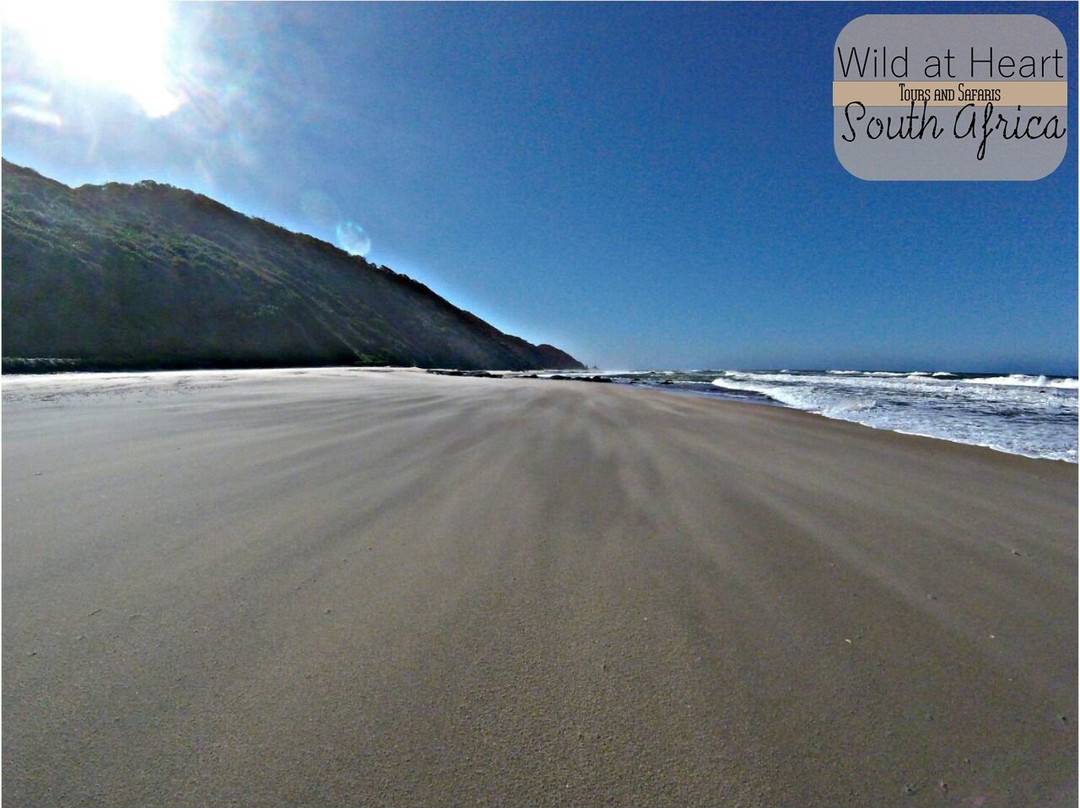 Wild at Heart Tours and Safaris (Pty) ltd.-保罗彼得斯堡必去景点