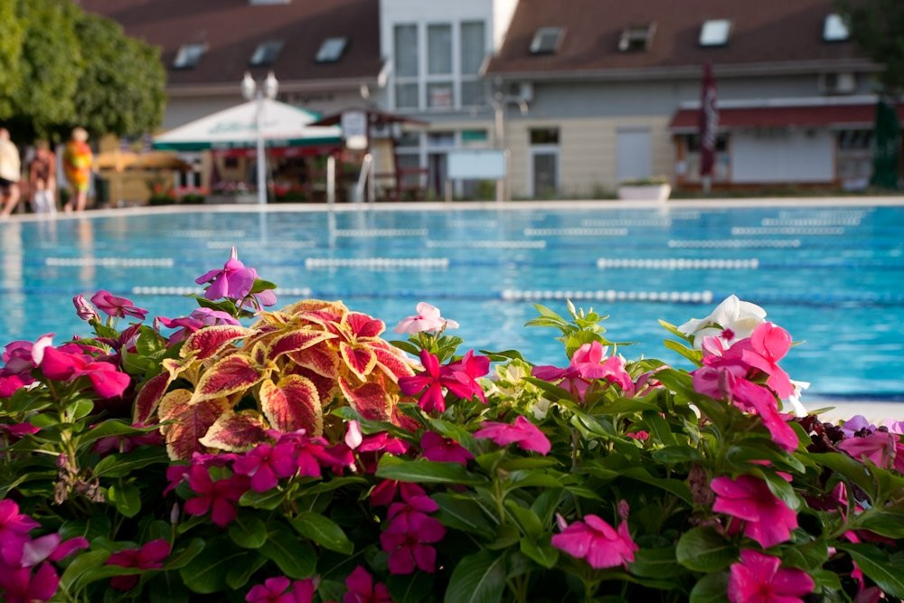 Brigetio Thermal Bath Komarom-Komarom必去景点