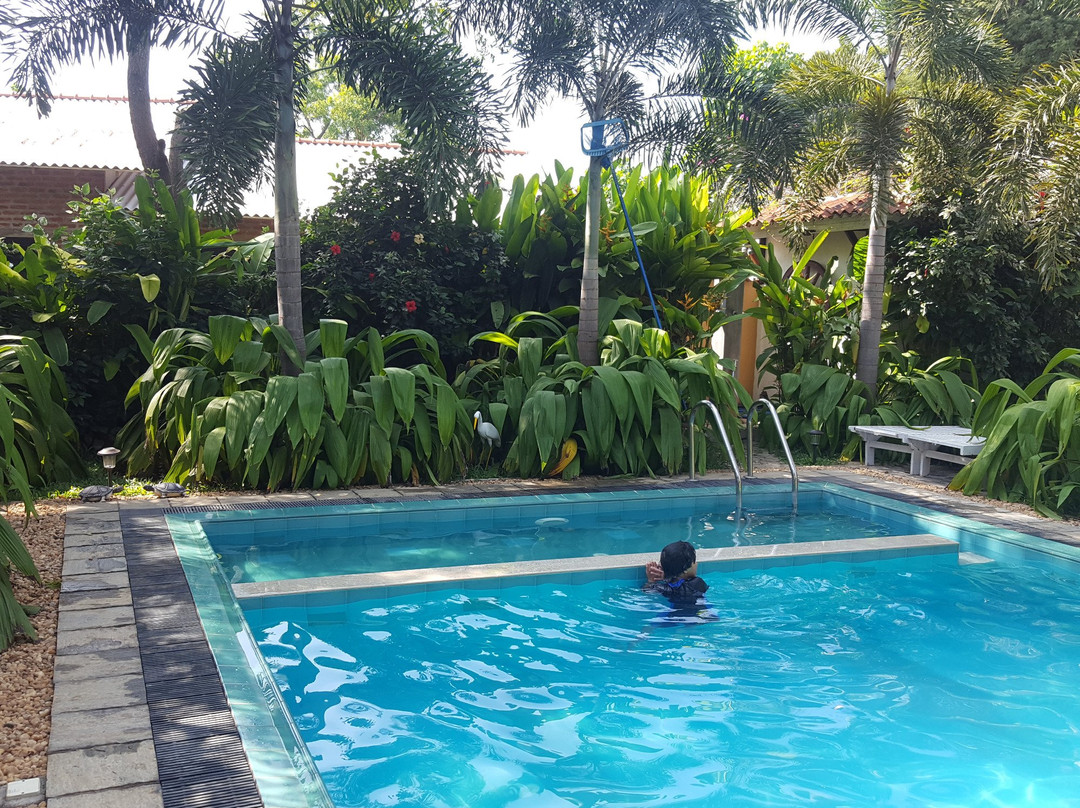 The Wild Heaven主图