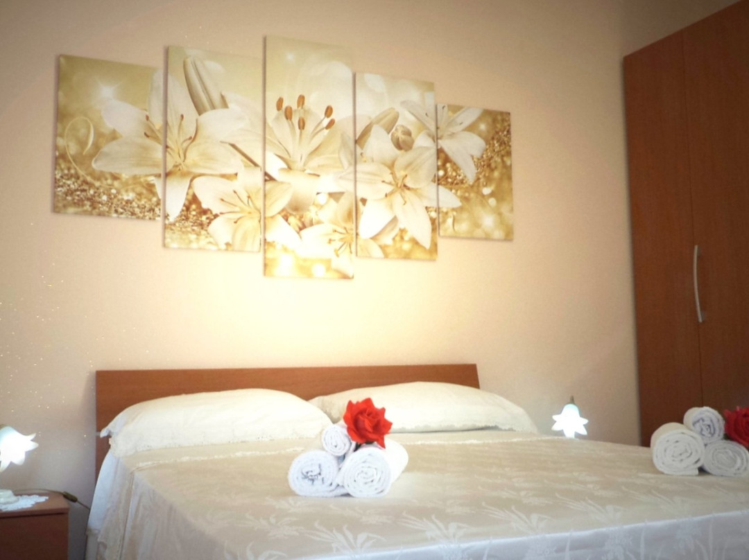 B&B Il Girasole主图