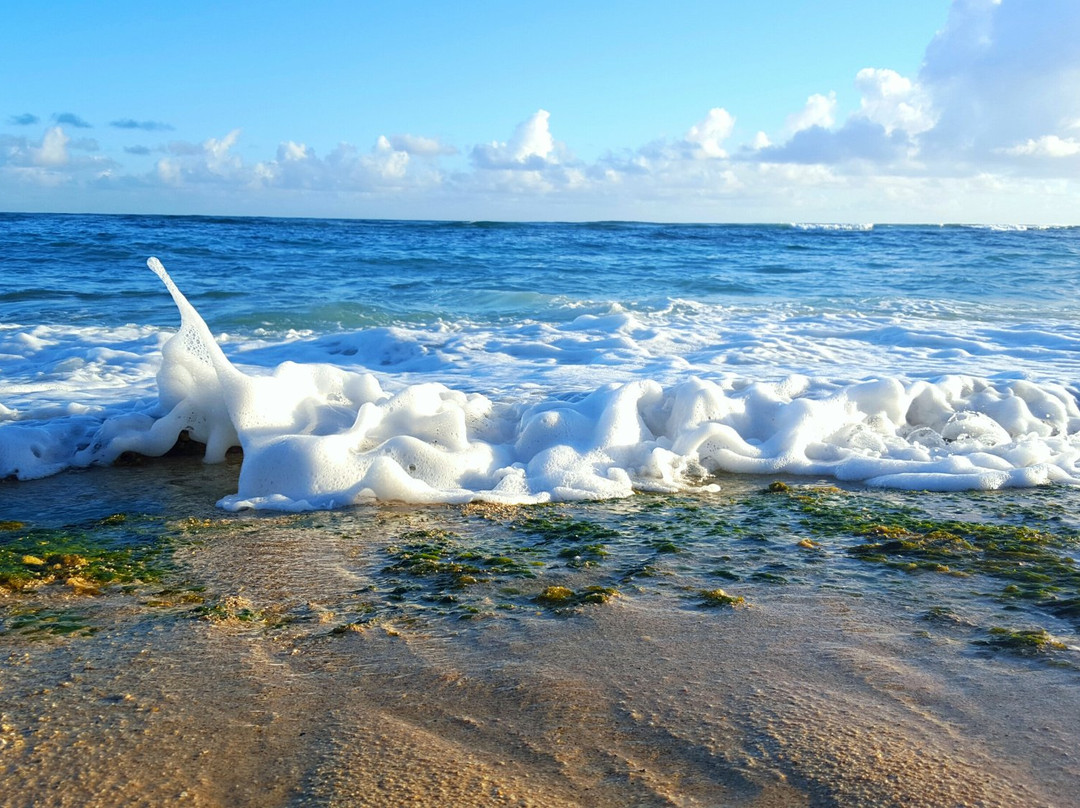 2023年9月Mokuleia旅游景点攻略Mokuleia旅游住宿,Mokuleia旅游美食猫途鹰