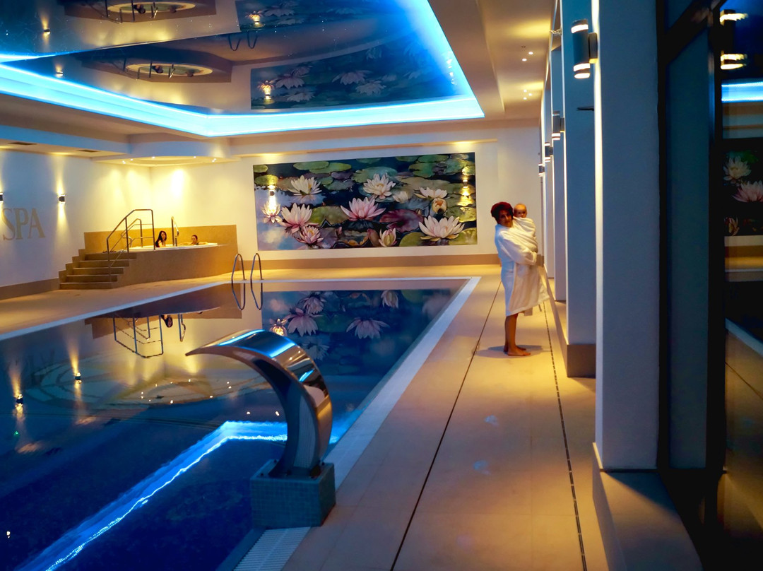 Hotel Kmicic - Belvedere & SPA主图