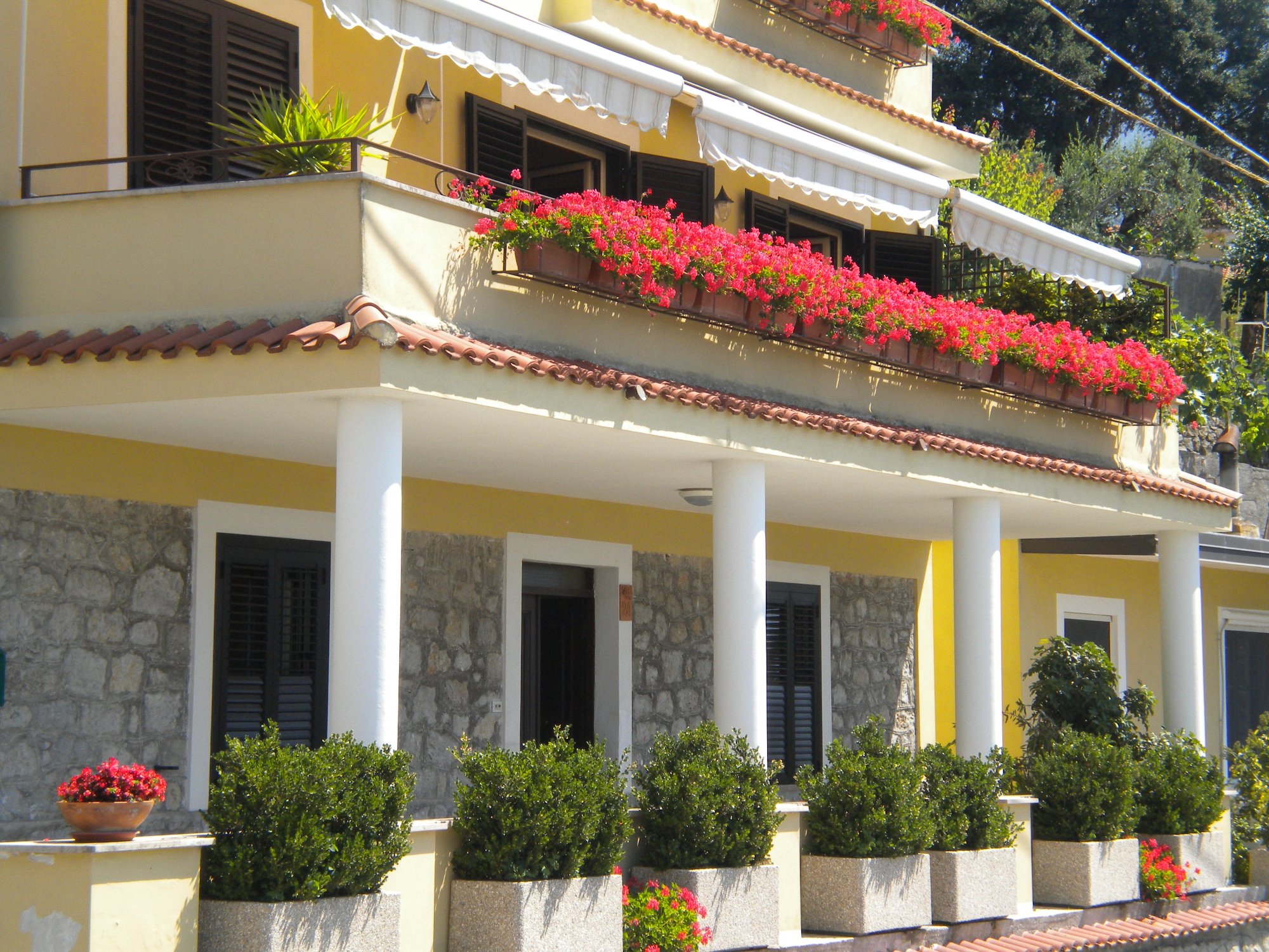 B&B Spigolatrice-官方