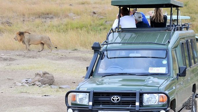 African Savannah Holidays-内罗毕必去景点