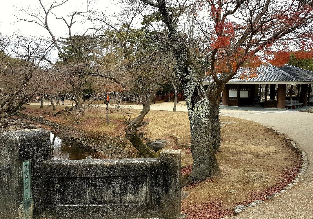 Nara Jidoyuen-市原市必去景点