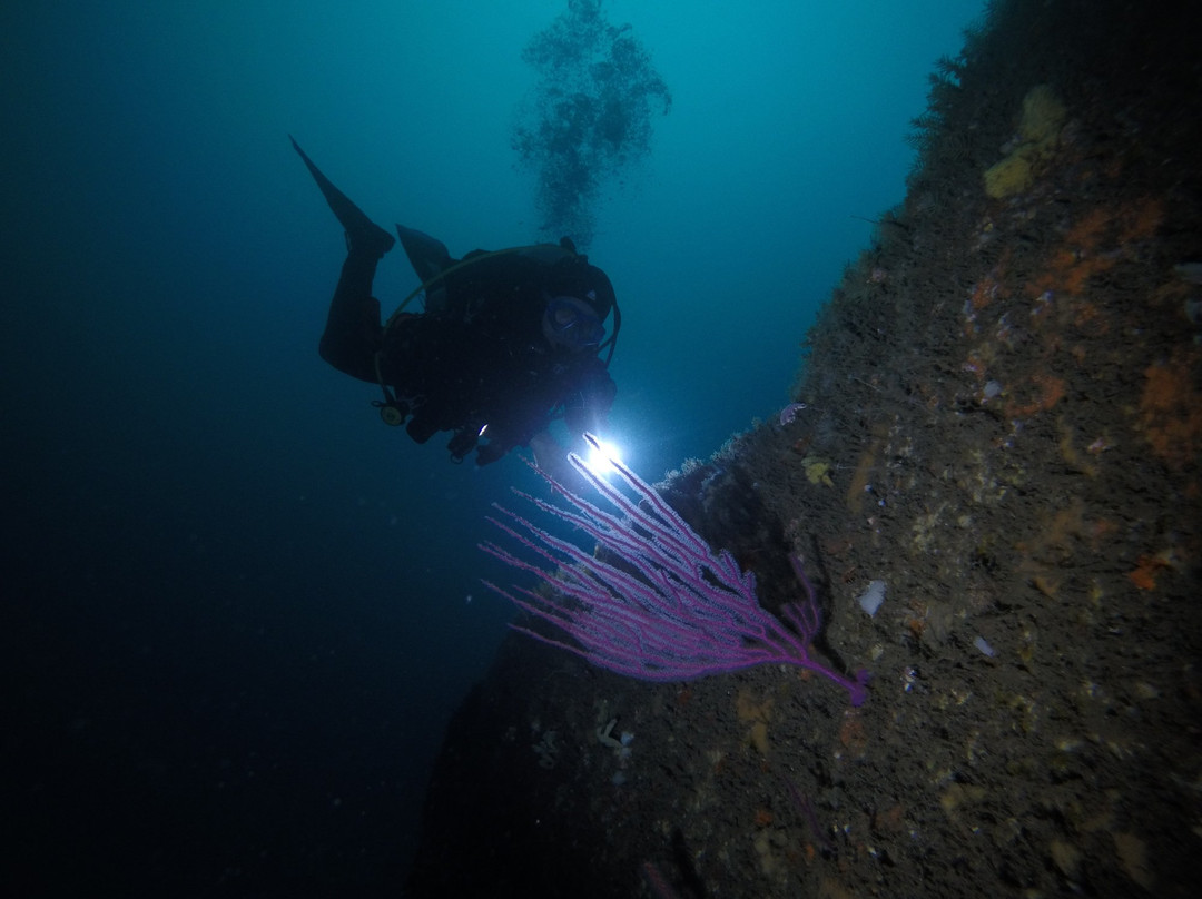 ODC Buceo-Pichidangui必去景点