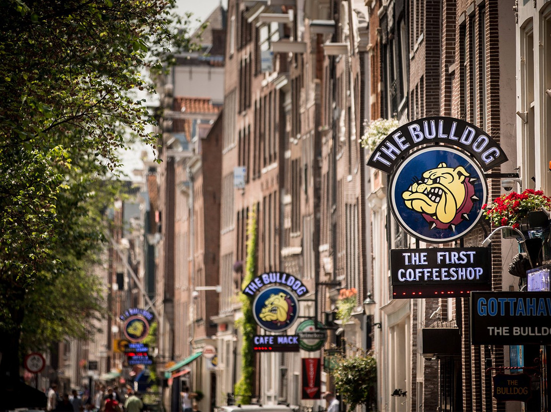 The Bulldog夜店-阿姆斯特丹必去景点