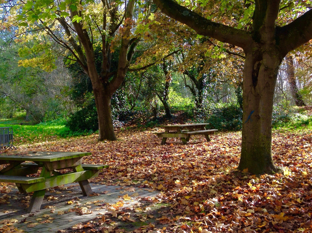 Coudekerque-Branche旅游攻略图片