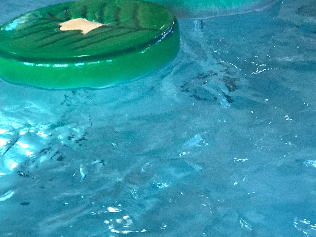 Reef Indoor Water Park-比灵斯必去景点