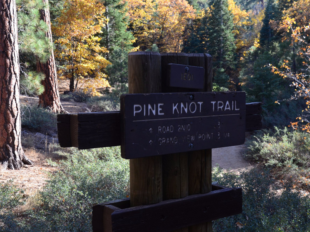 Pine Knot Trail-大熊湖必去景点