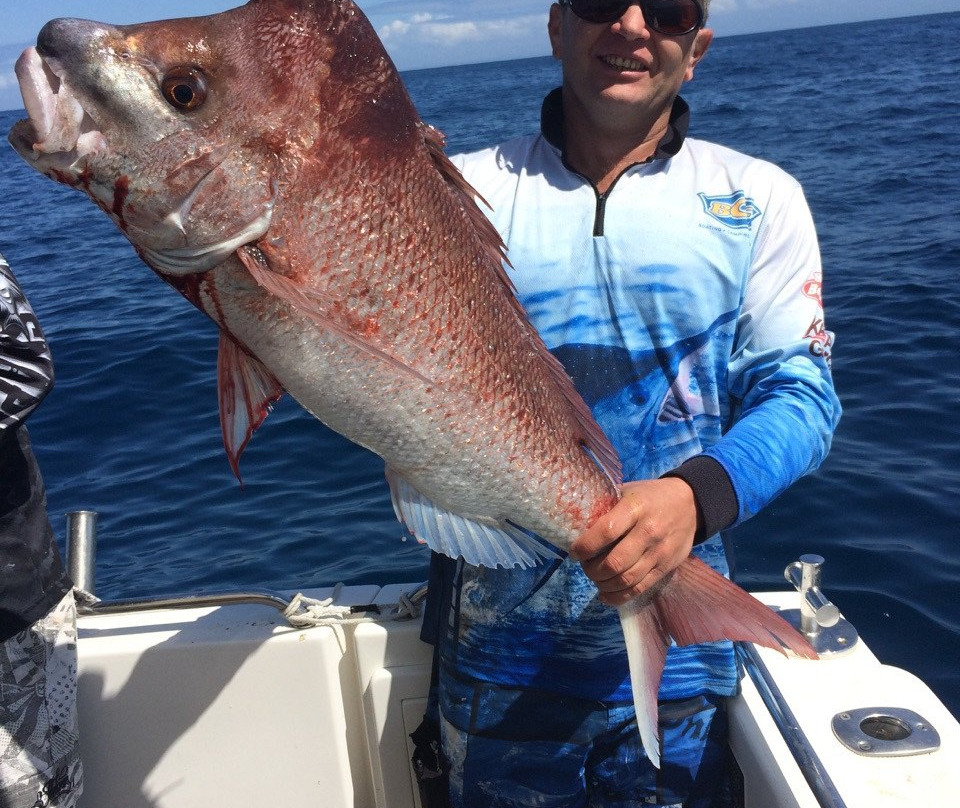 Offshore Reef & Game Fishing Mooloolaba景点图片