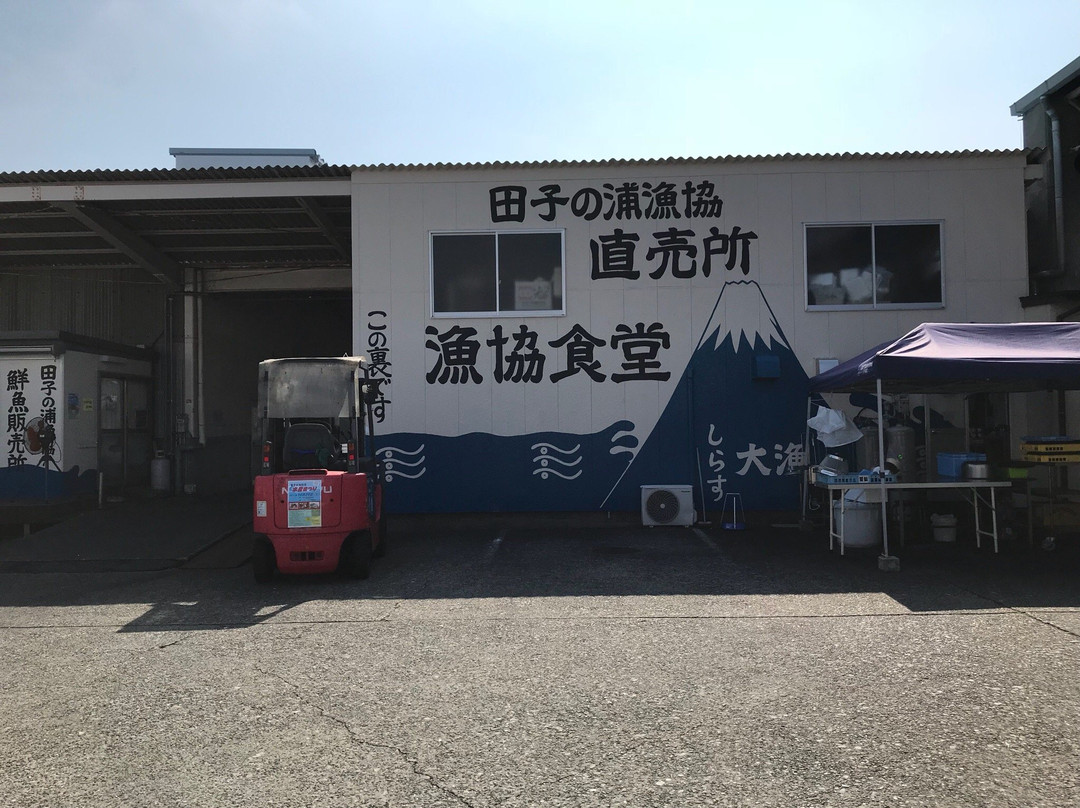 Tagonoura Port景点图片