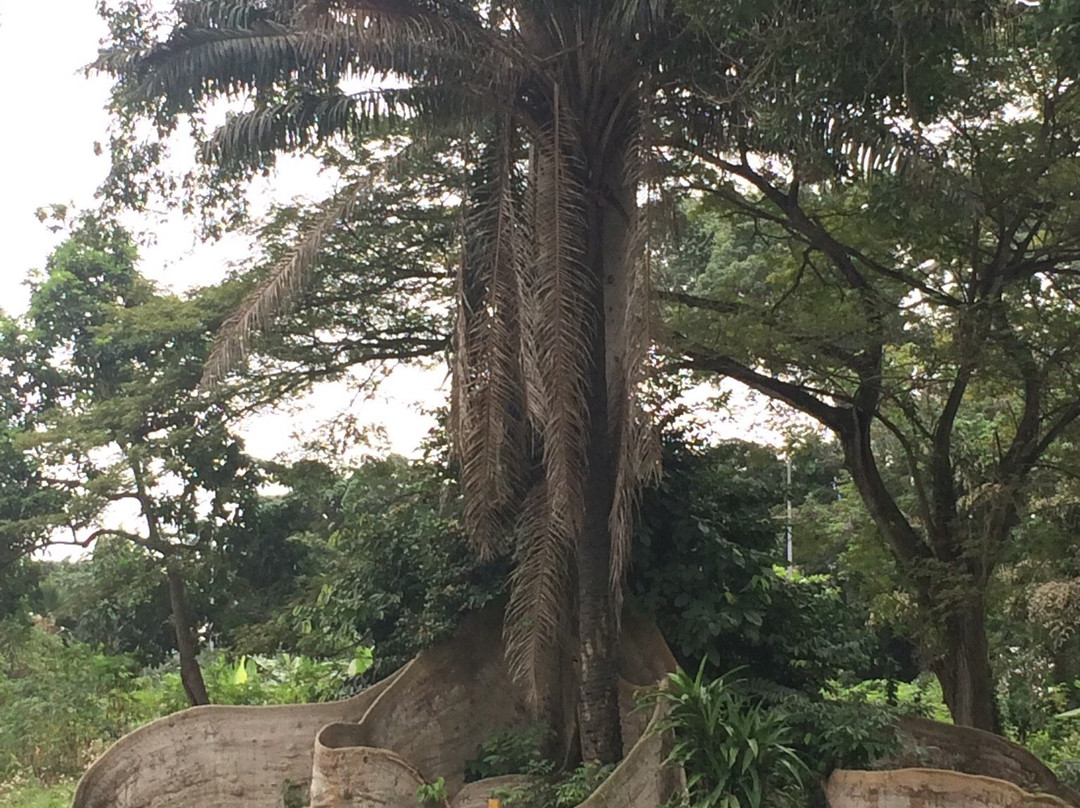 Ivoire Golf Club-阿比让必去景点