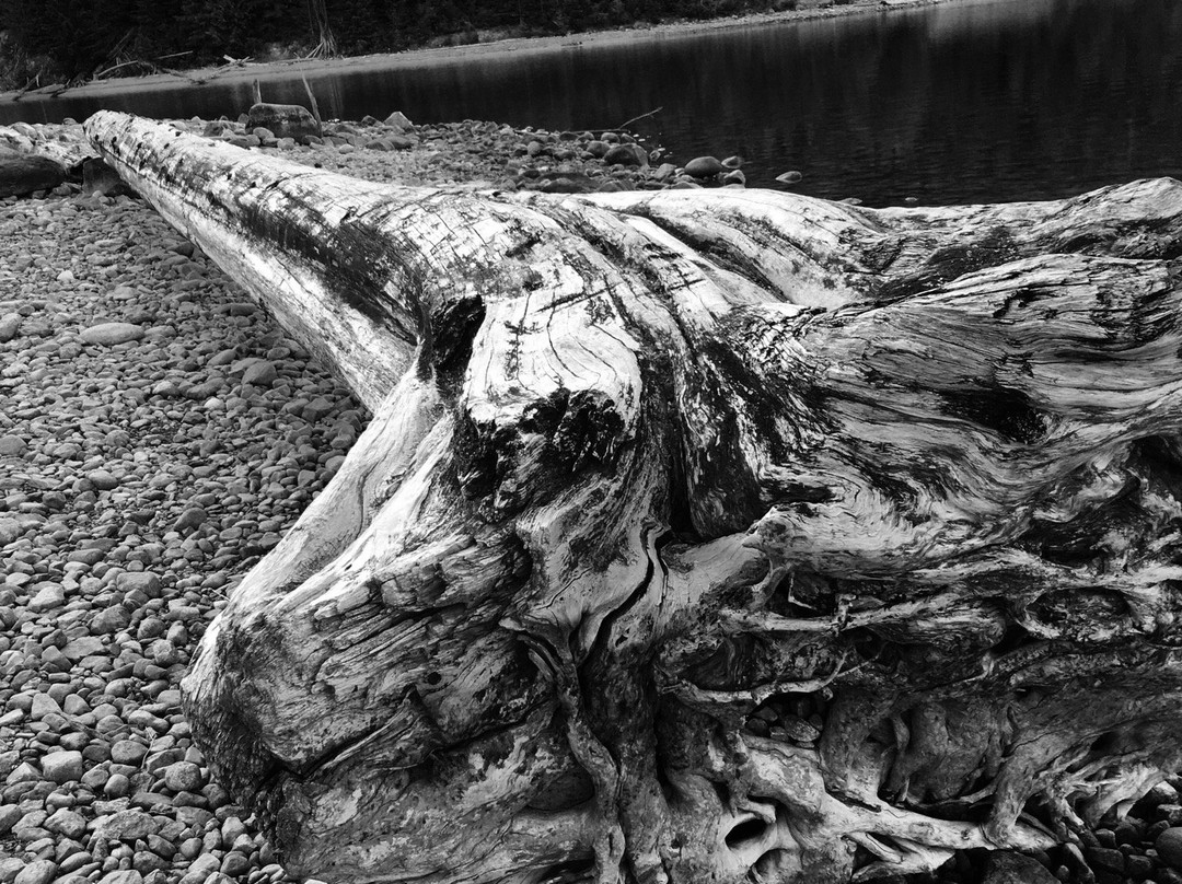 Martha Creek Provincial Park-雷夫尔斯托克必去景点